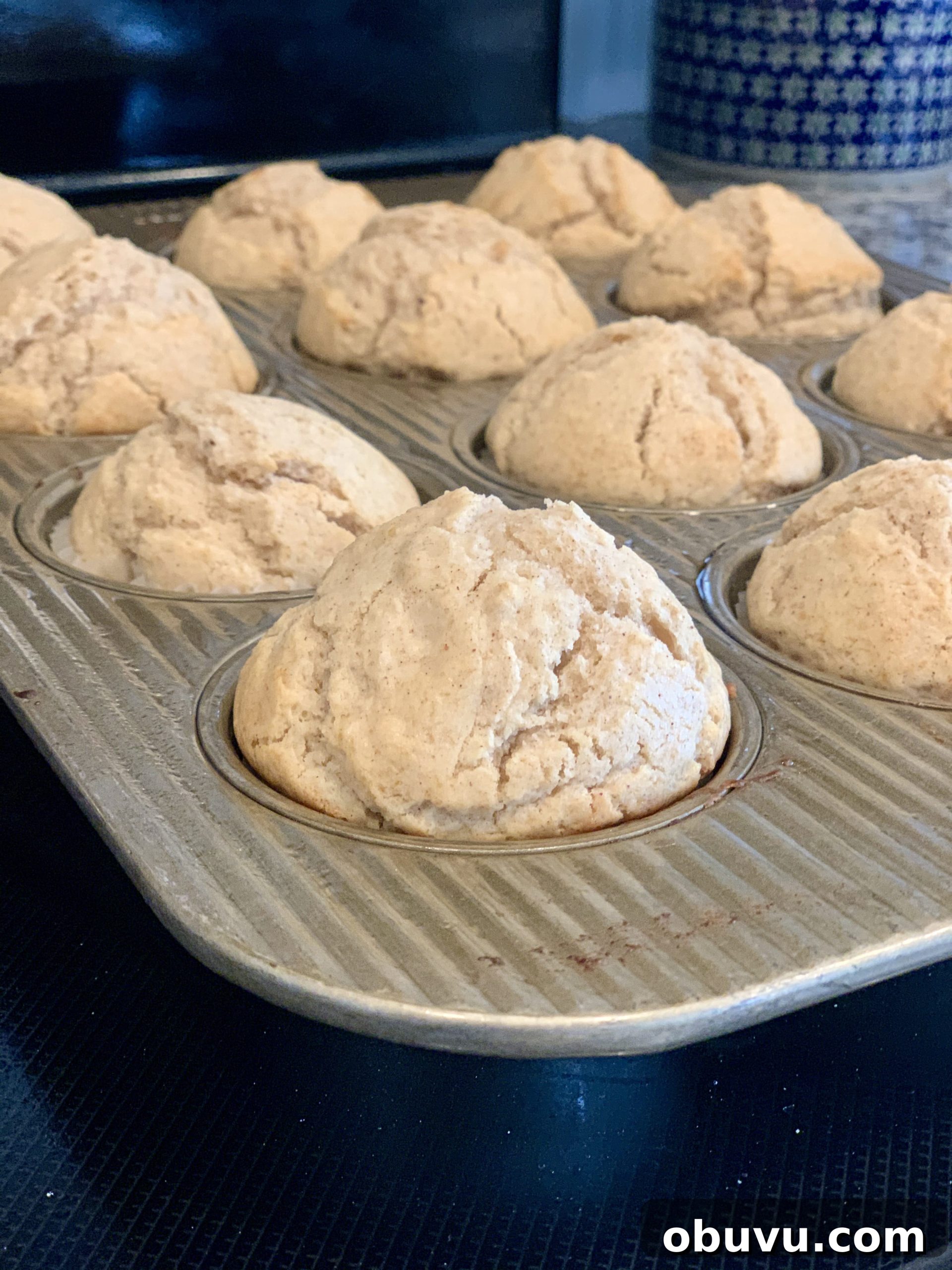 Irresistible Cinnamon Sugar Muffins with Crunchy Streusel Topping 6 Muffins cooling