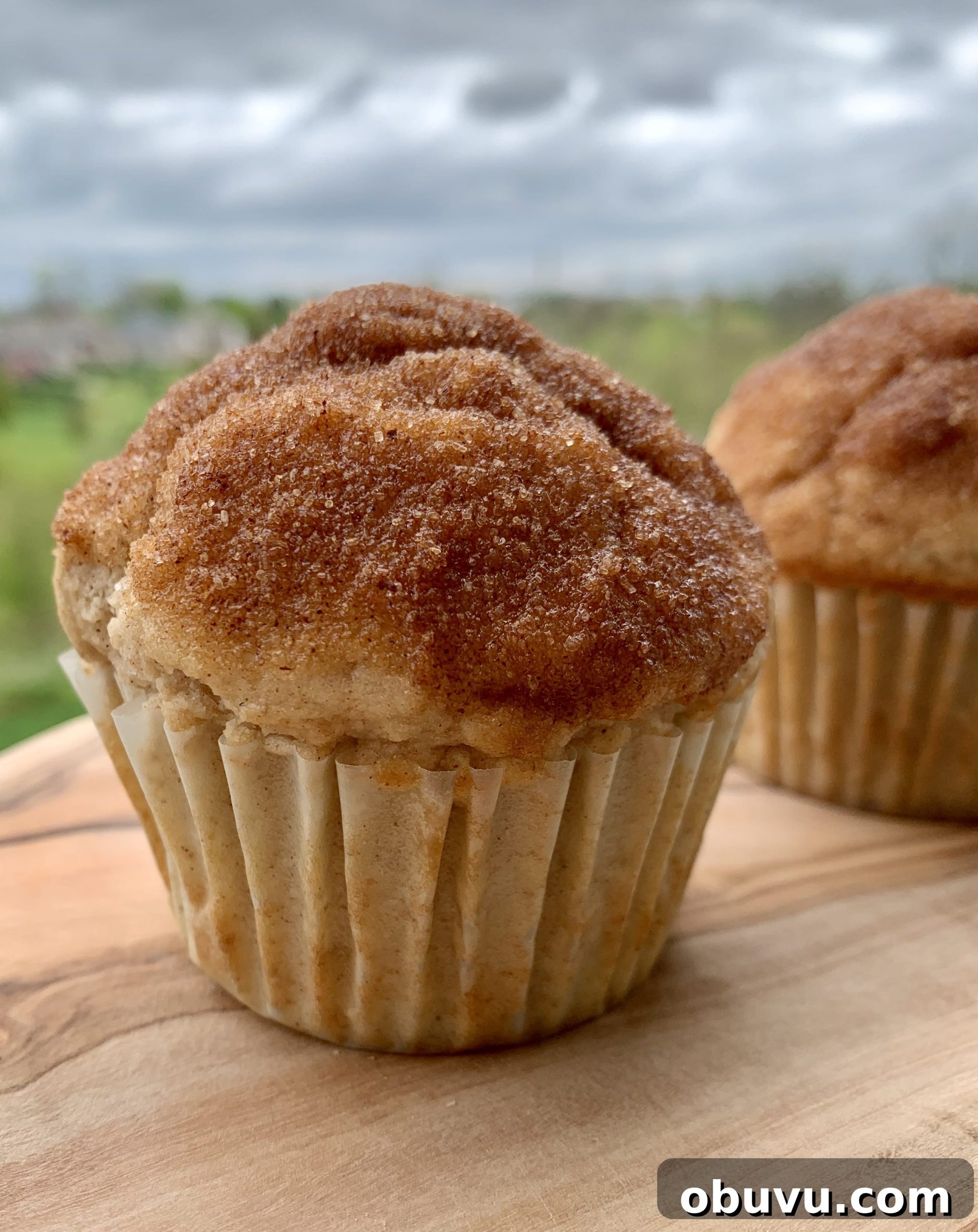 Irresistible Cinnamon Sugar Muffins with Crunchy Streusel Topping 7 Finished muffins