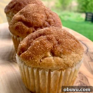 Irresistible Cinnamon Sugar Muffins with Crunchy Streusel Topping 8 Cinnamon Sugar Muffins