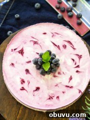 No-Bake Kefir Blueberry Cheesecake | All that's Jas