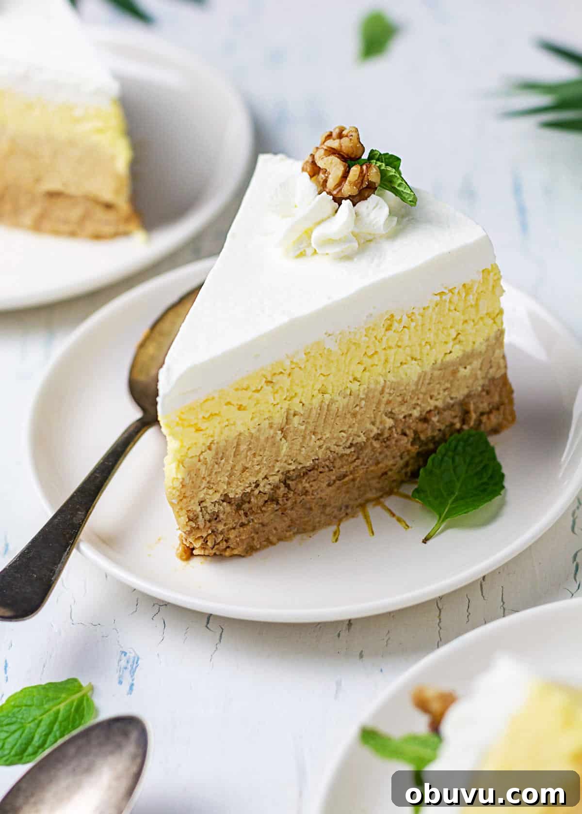 No-Bake Serbian Sand Cake Recipe — Traditional No-Heat Dessert 15 A close up of a sand cake slice on a plate showing of its ombre layers.