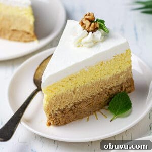 No-Bake Serbian Sand Cake Recipe — Traditional No-Heat Dessert 16 A big slice of sand cake on a plate with a dessert spoon.