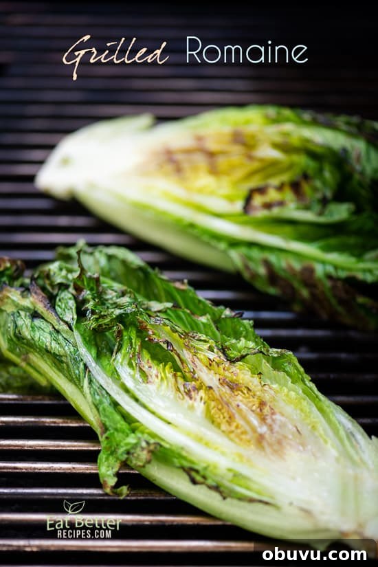 Grilled Romaine Salad Recipe for Summer Grilling! @EatBetterRecipes Grilled Romaine Salad on a grill