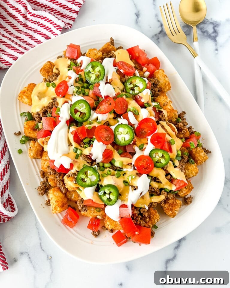 Looking down onto a platter of game day nachos.
