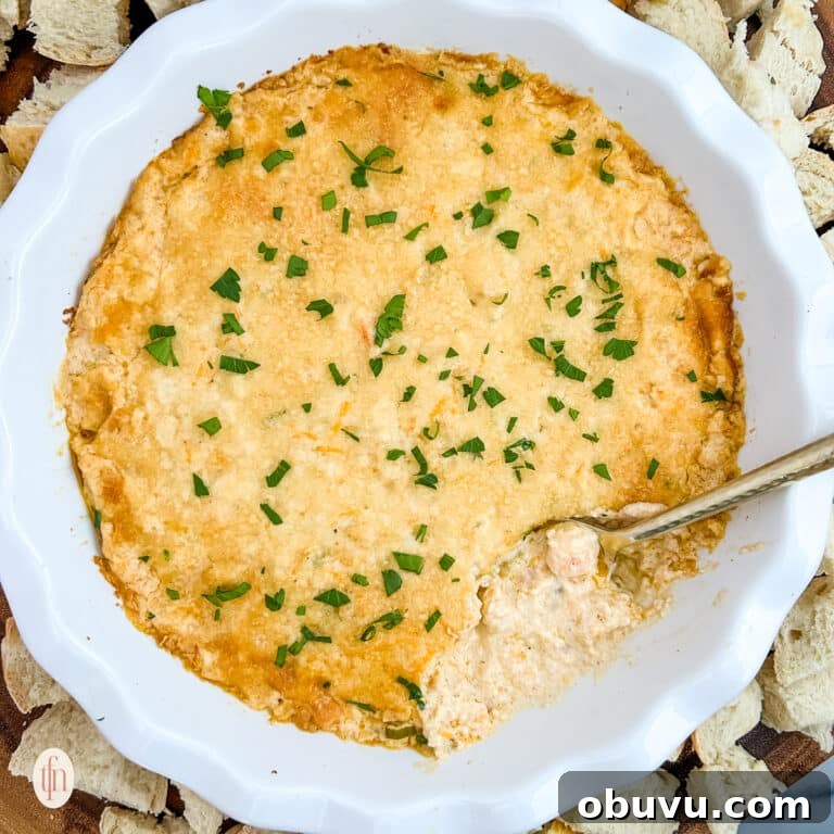 A bowl of cajun crab dip with shrimp with a spoon.