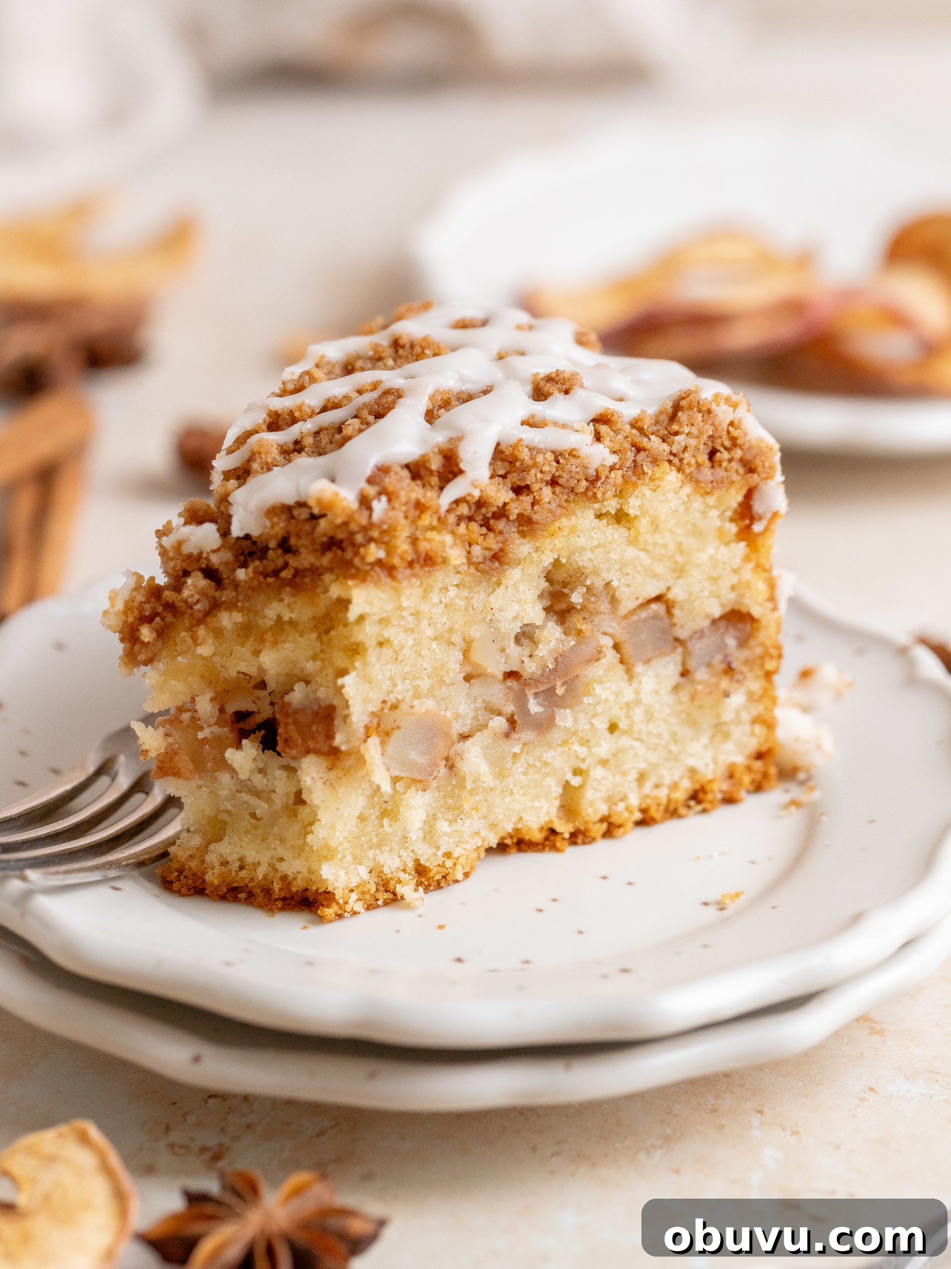 Classic Apple Crumb Cake Recipe — Tender, Spiced & Crunchy 10 Cake on plate