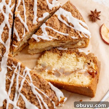 Classic Apple Crumb Cake Recipe — Tender, Spiced & Crunchy 11 Apple Crumb Cake