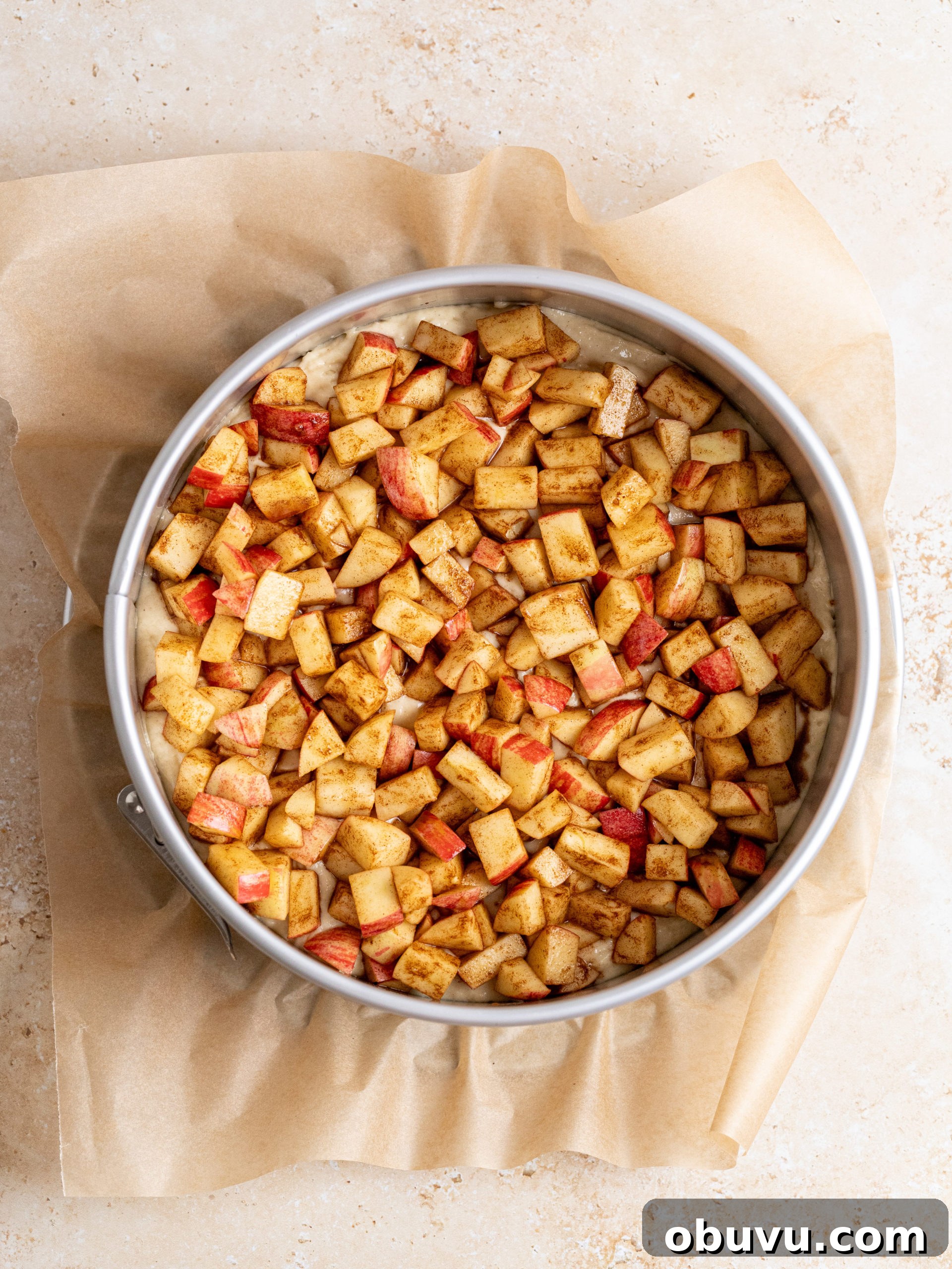 Classic Apple Crumb Cake Recipe — Tender, Spiced & Crunchy 6 Cooled cake