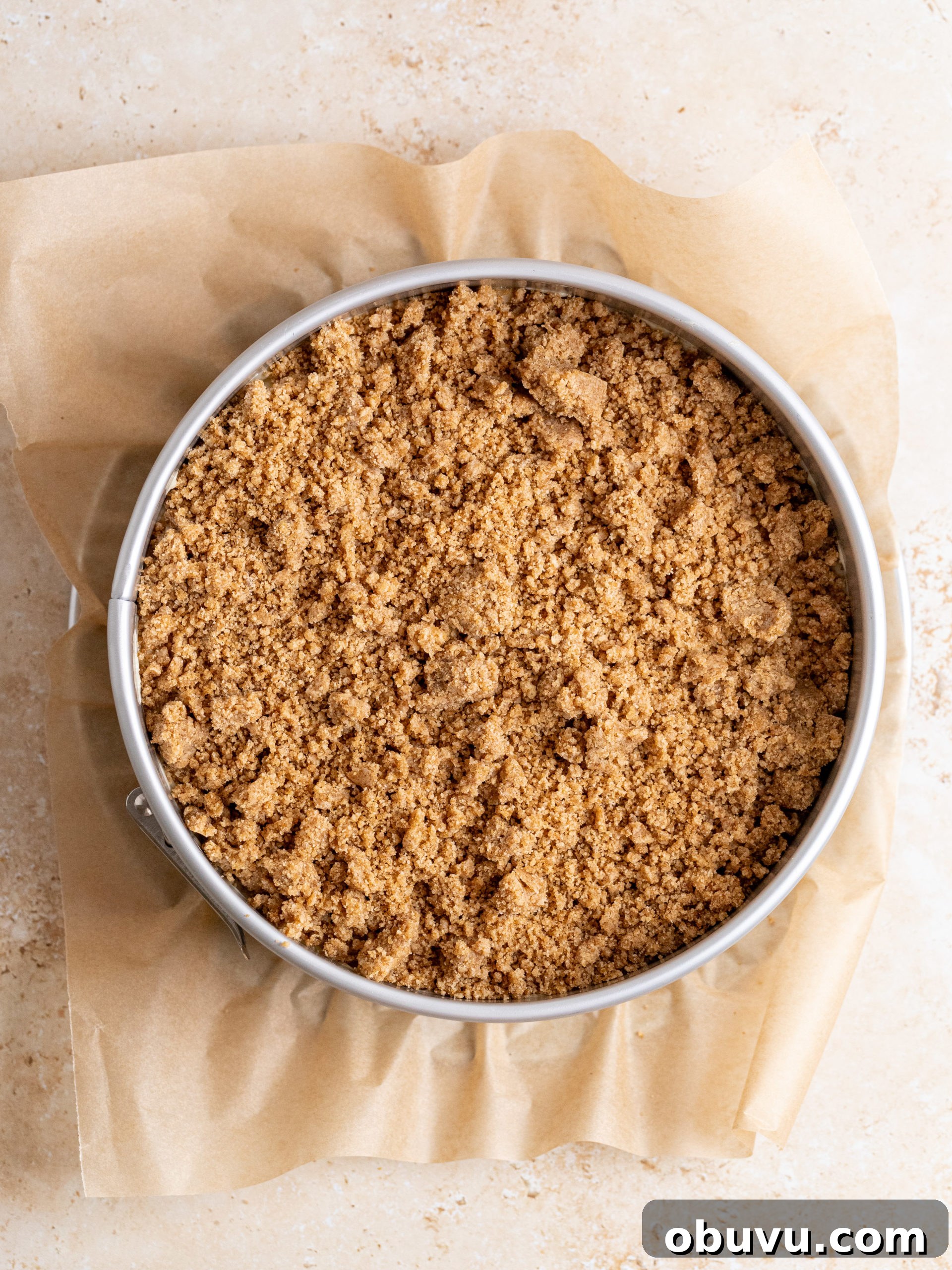Classic Apple Crumb Cake Recipe — Tender, Spiced & Crunchy 7 Slicing cake
