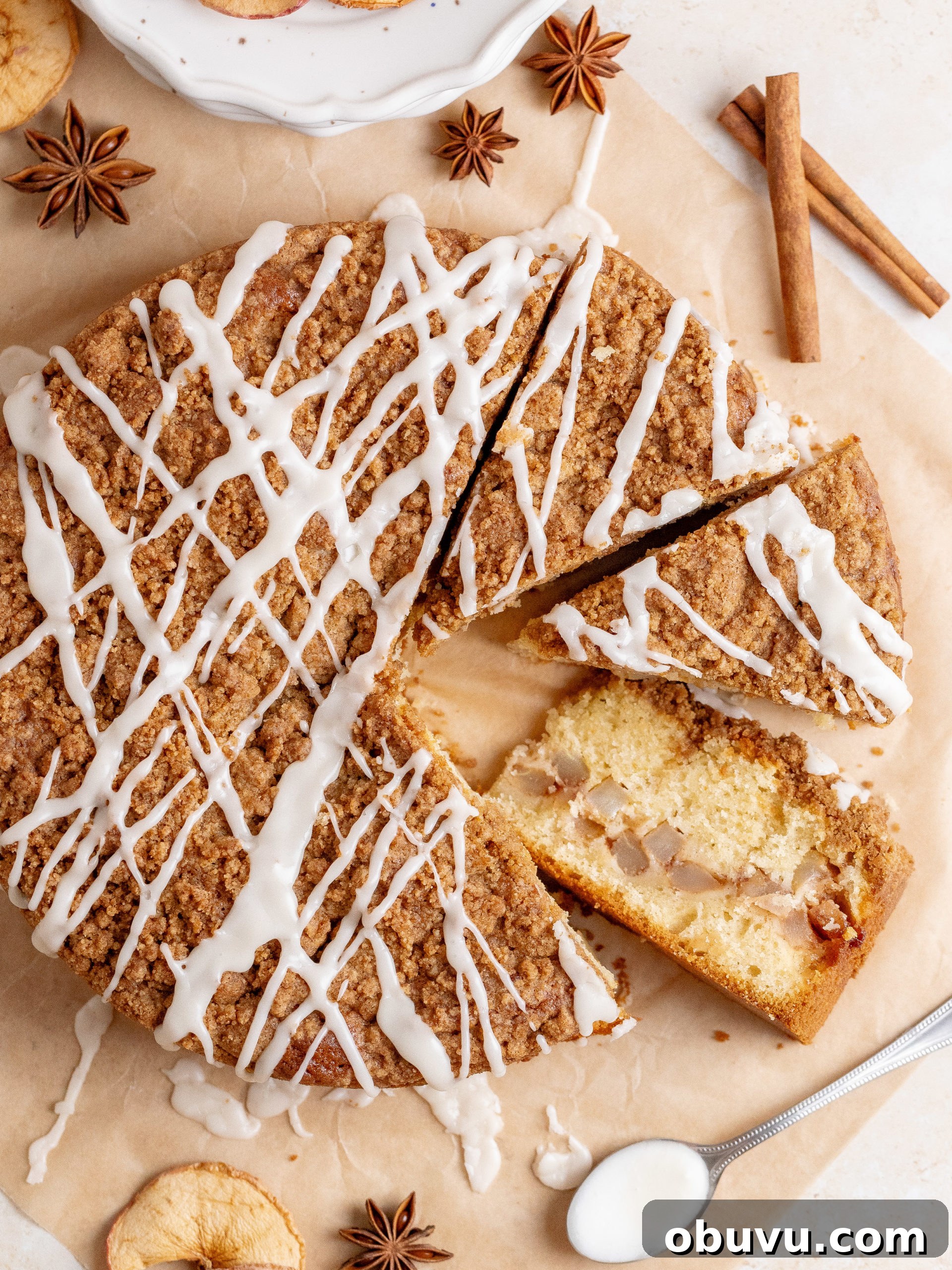 Classic Apple Crumb Cake Recipe — Tender, Spiced & Crunchy 9 Cake texture close-up