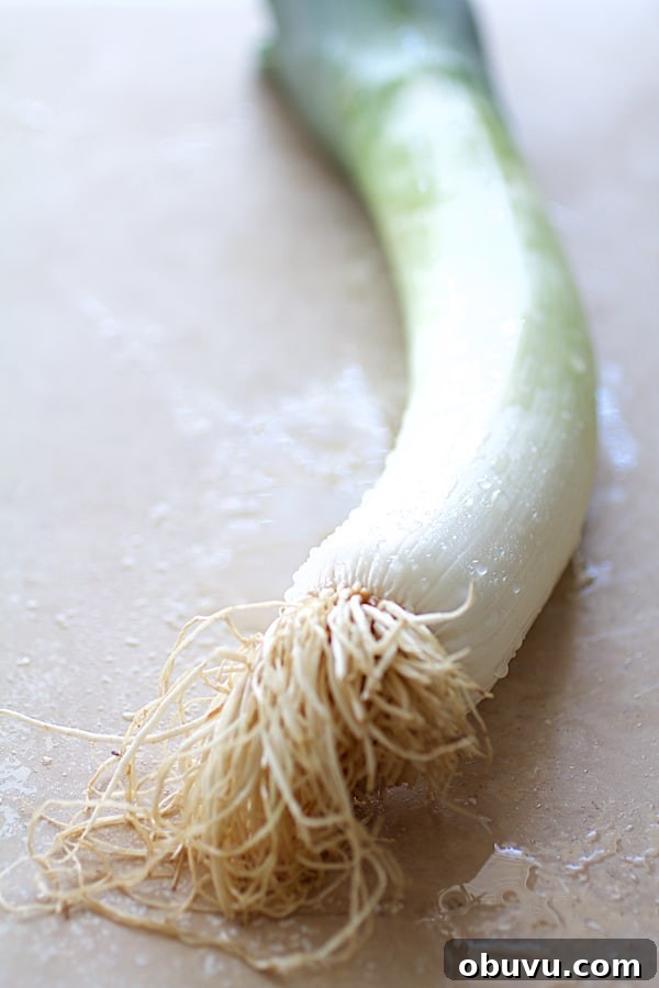 Close-up photo of a freshly washed leek.
