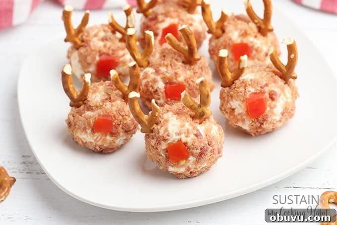 Reindeer Mini Cheese Balls