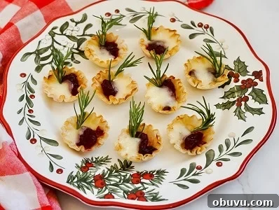 Cranberry Brie Bites
