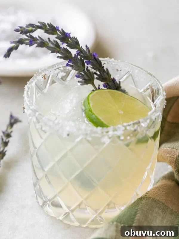 Bubble Gum Cocktail Recipe Using Infused Vodka 6 Lavender margarita recipe.
