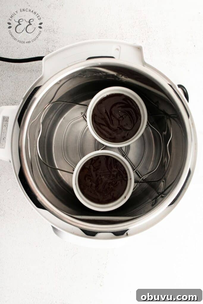 Instant Pot Chocolate Lava Cakes Instant Pot Lava Cakes