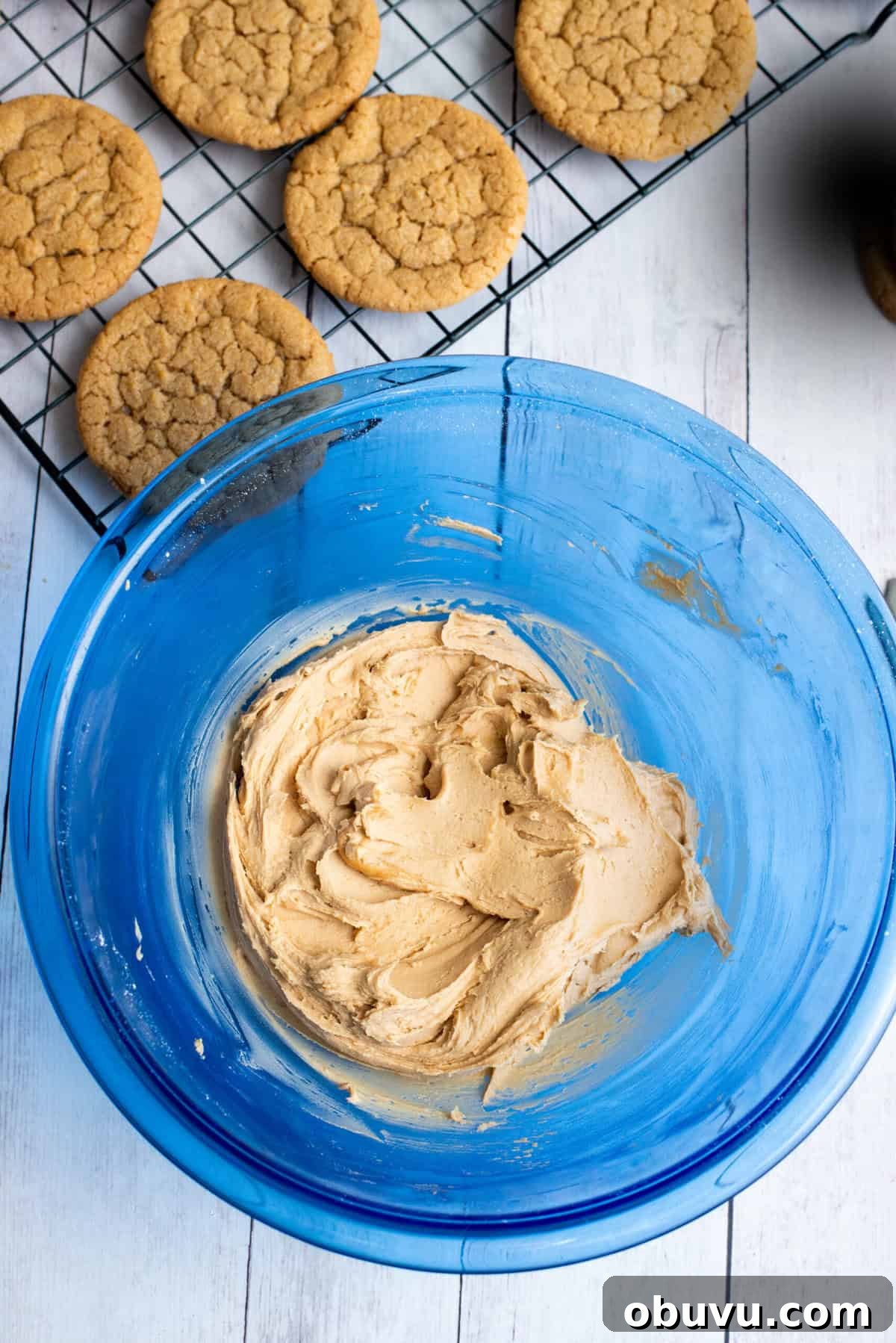 Cookie Butter Sandwich Cookies — Crunchy Fillings & Simple Recipe 14 finished filling