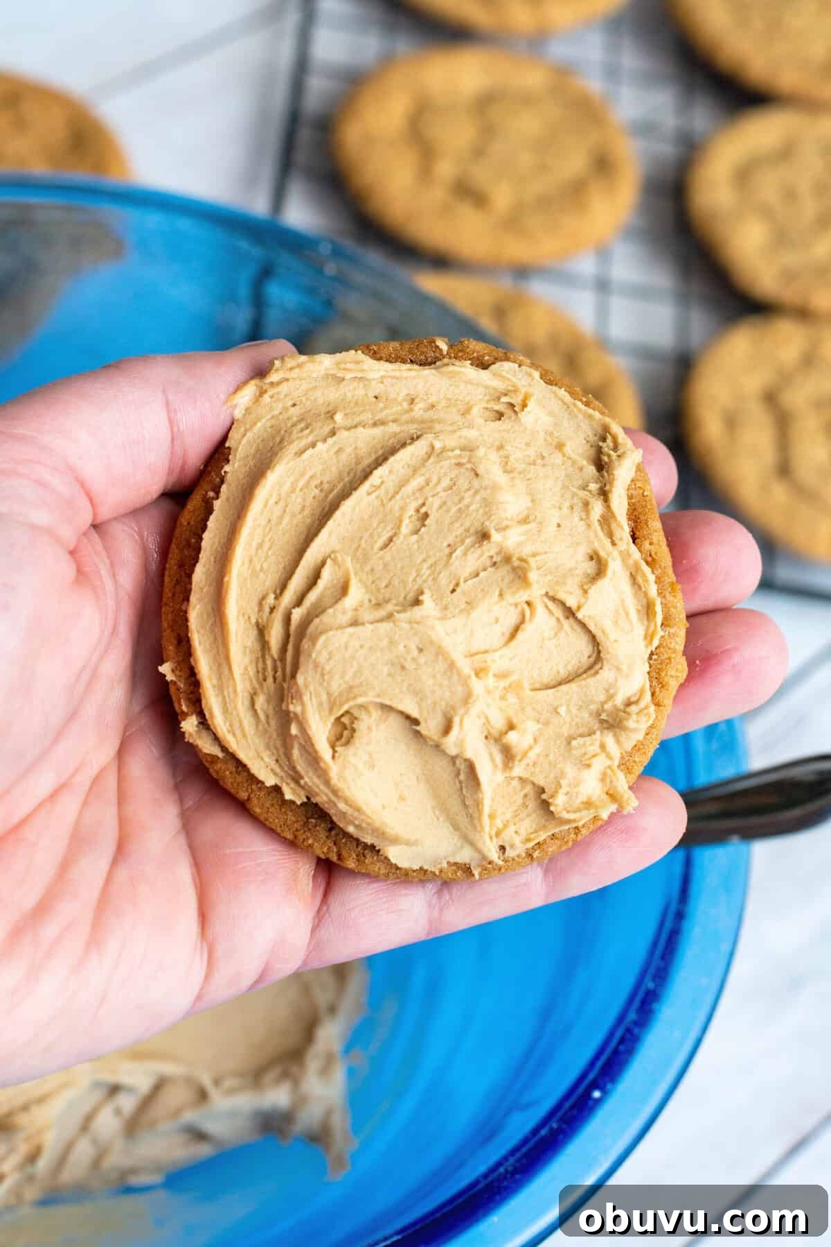Cookie Butter Sandwich Cookies — Crunchy Fillings & Simple Recipe 15 fill the cookies