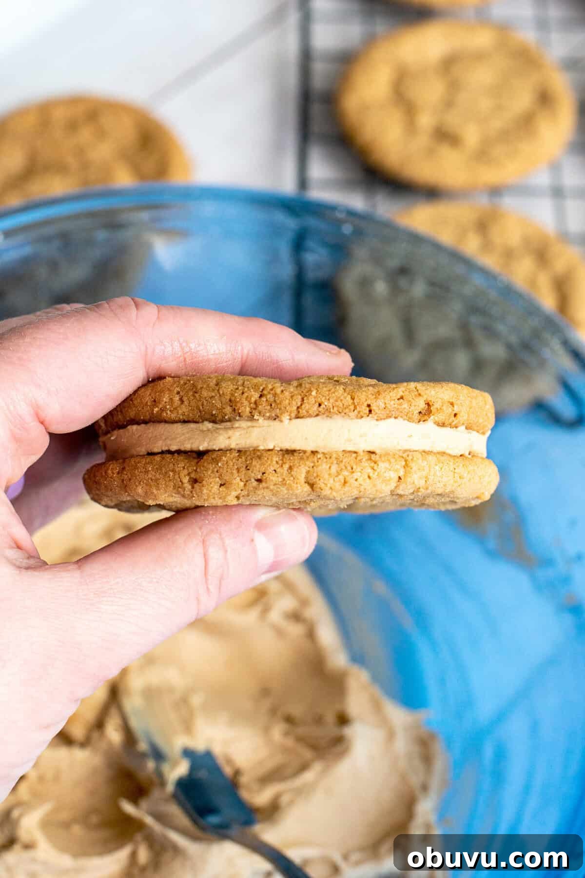 Cookie Butter Sandwich Cookies — Crunchy Fillings & Simple Recipe 16 filled cookie butter sandwich cookie