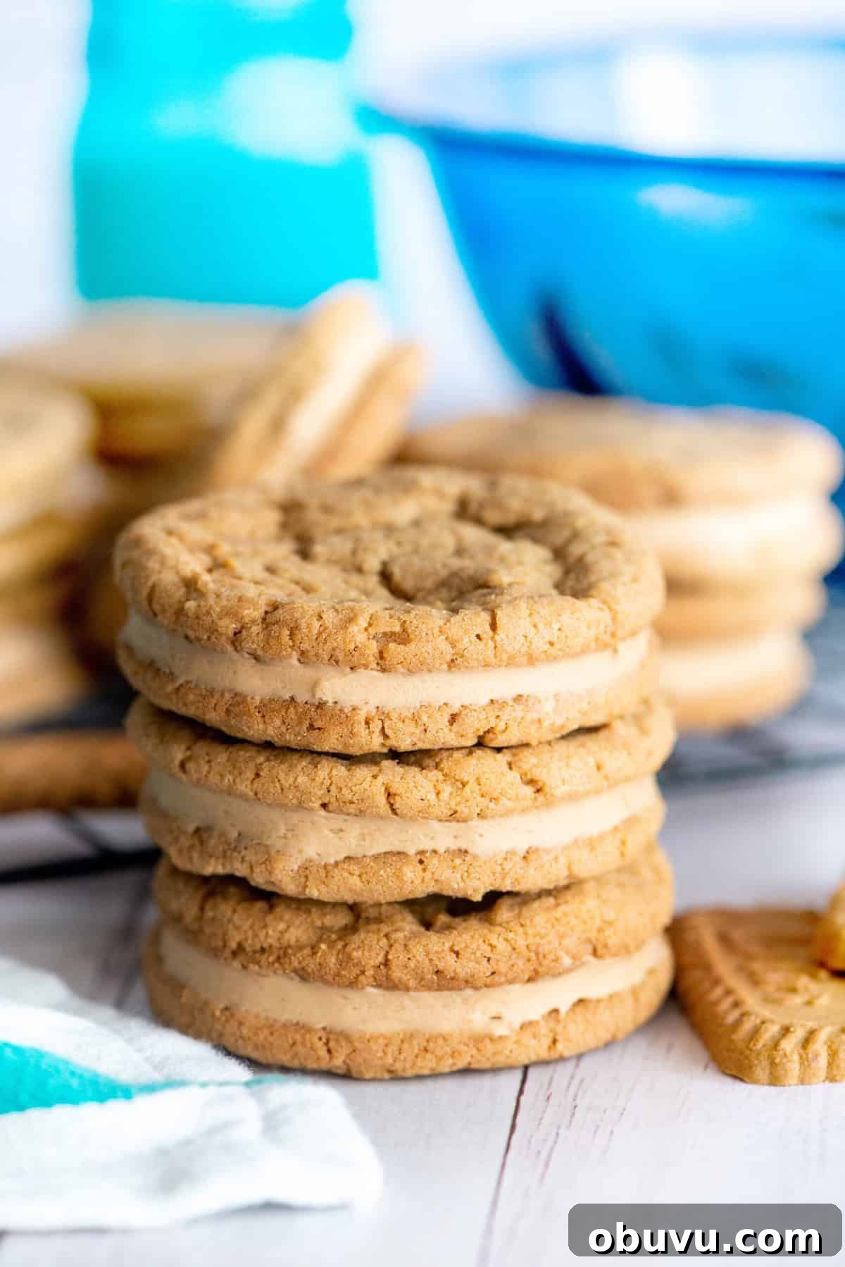 Cookie Butter Sandwich Cookies — Crunchy Fillings & Simple Recipe 17 cookie butter sandwich cookies