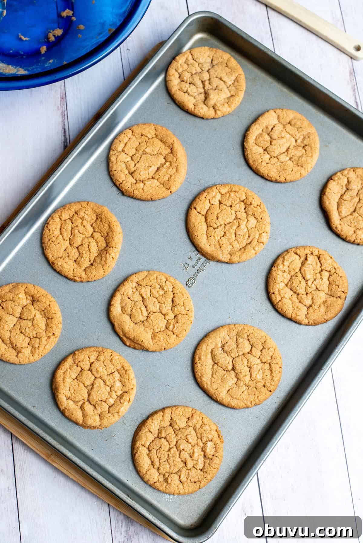 Cookie Butter Sandwich Cookies — Crunchy Fillings & Simple Recipe 9 bake cookies