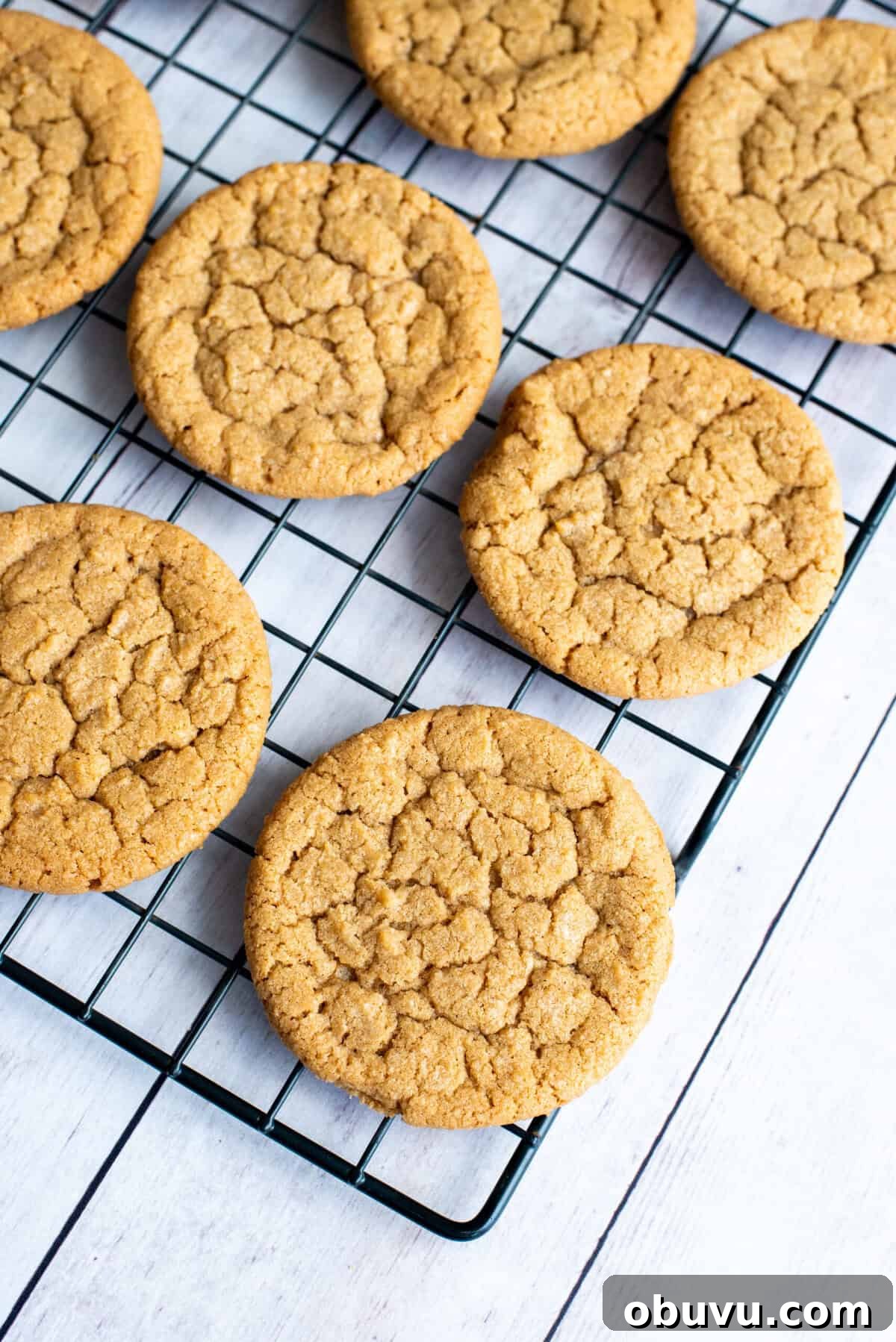 Cookie Butter Sandwich Cookies — Crunchy Fillings & Simple Recipe 10 cool cookie butter sandwich cookies