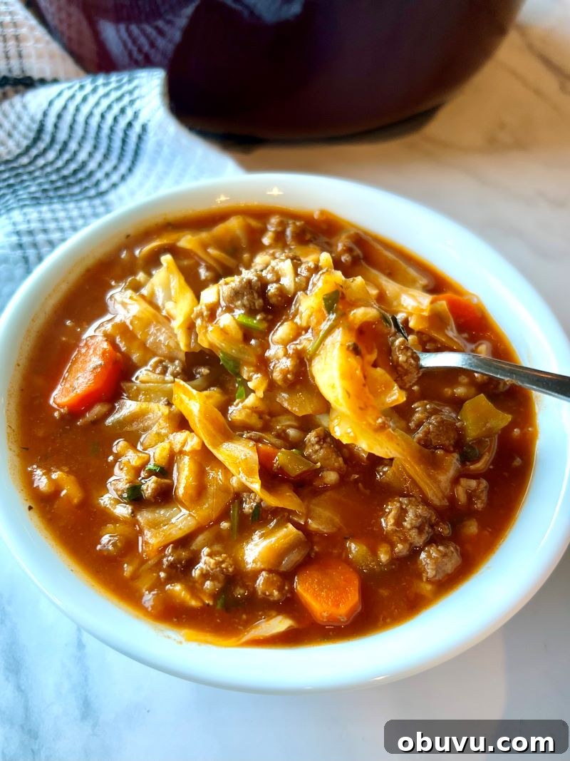 Cabbage Roll Soup
