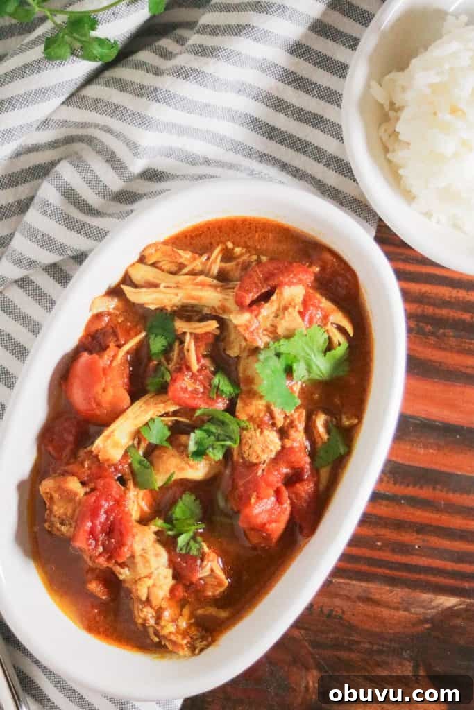 Dairy-Free, Gluten-Free Chicken Tikka Masala Recipe 6 img 905 5
