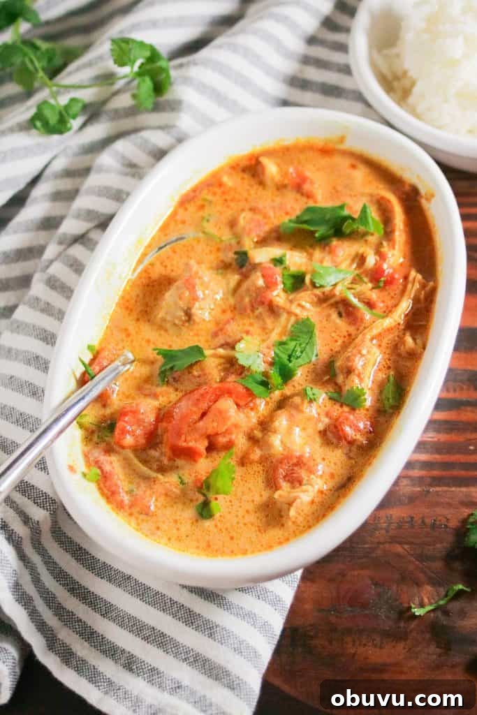 Dairy-Free, Gluten-Free Chicken Tikka Masala Recipe 8 img 905 7