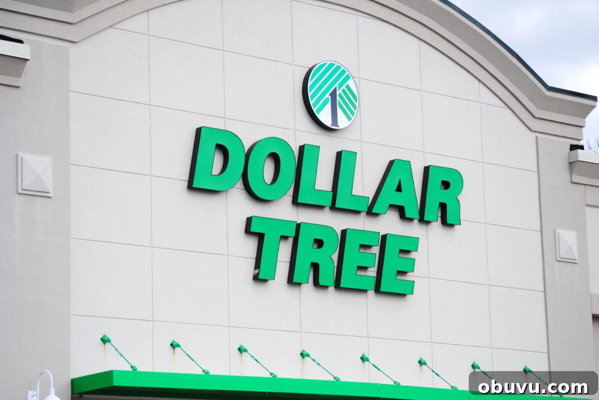 5 Dollar Tree Finds That Are Much Pricier at Walmart 4 front of dollar tree store