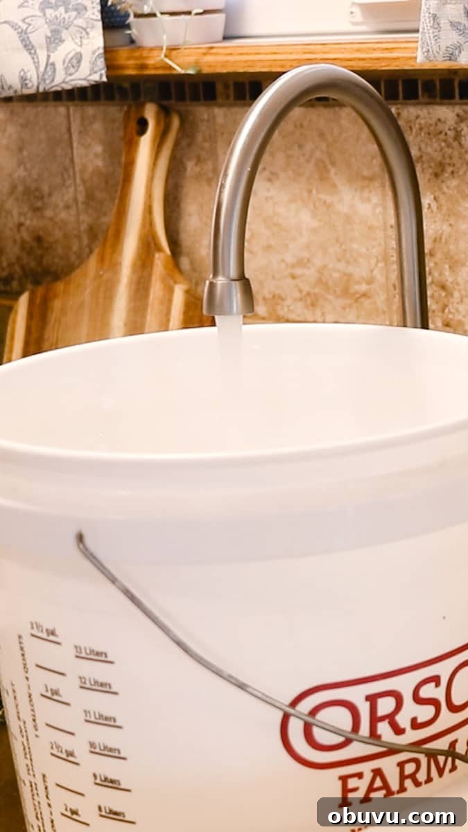 Make Your Own Laundry Soap: Simple DIY Recipe for Clean Clothes 10 Topping off the laundry soap with water.