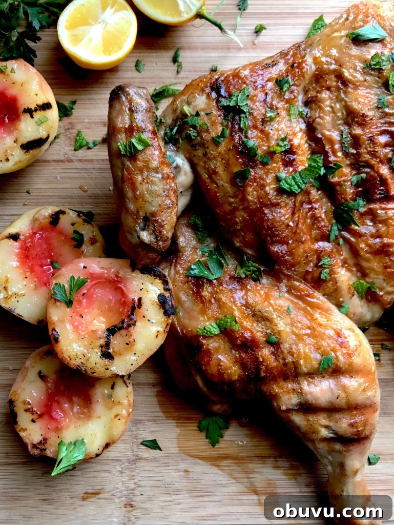 grilled chicken under a brick 