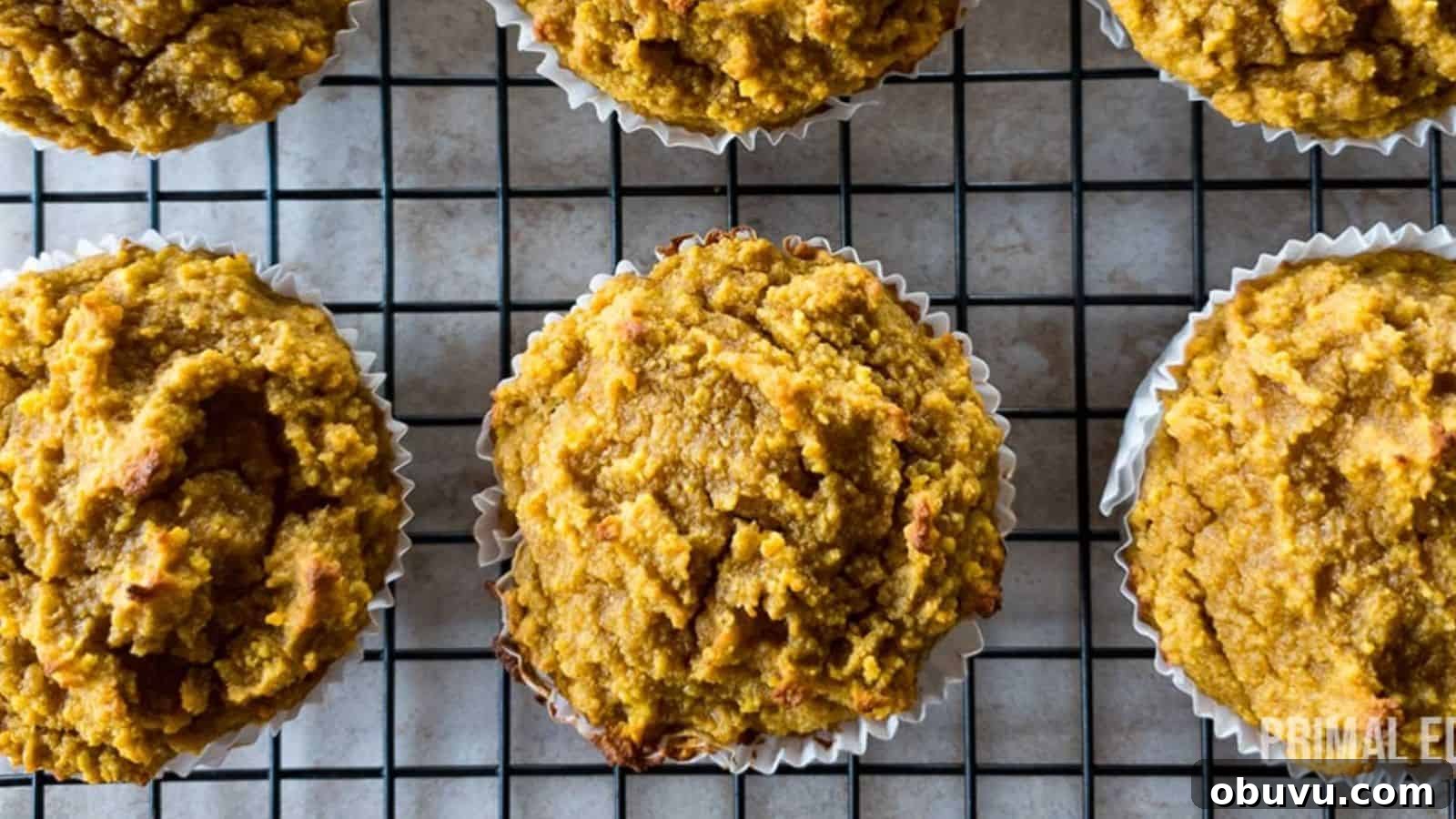 19 Cozy Low-Carb Breakfasts You’ll Crave Every Morning 3 Six pumpkin muffins on a cooling rack with a grid pattern viewed from above.