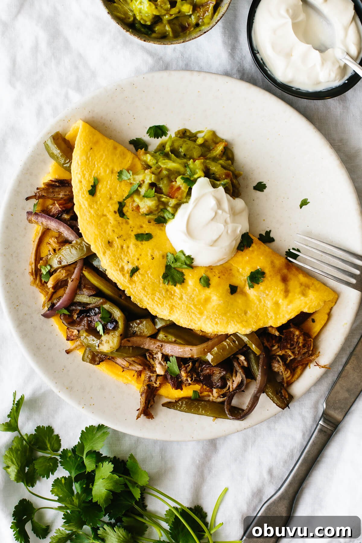 20 High-Protein Breakfast Recipes for Lasting Energy 12 Carnitas omelette with fajita veggies on a plate.