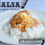 salsa chicken thumbnail