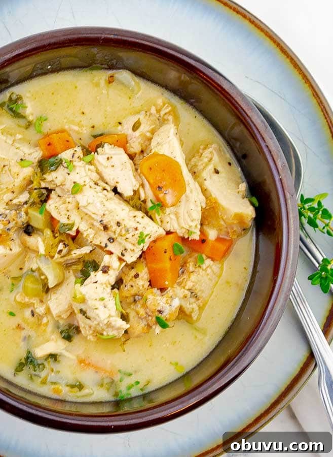 Creamy Turkey and Chicken Soup Recipe for Comforting Meals 2 brown bowl of Cream of Turkey (or Chicken) Soup Recipe on white plate