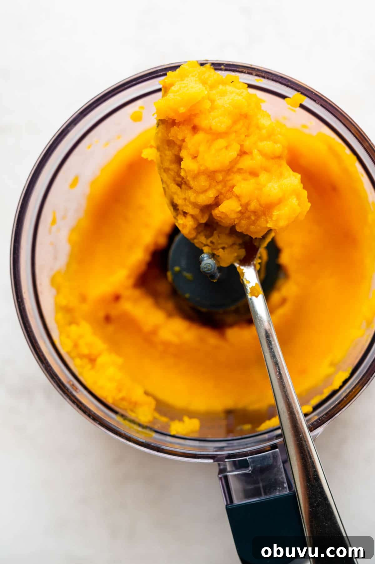 Creamy Butternut Squash Lasagna with Sage and Ricotta 3 pureeing the squash in a food processor.