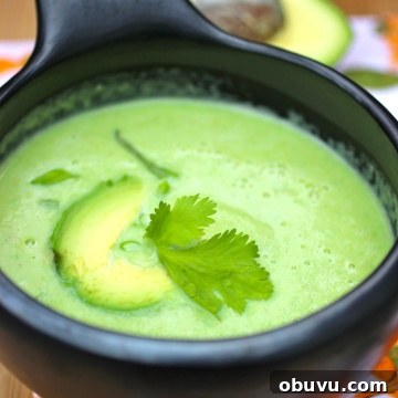 Crema de Aguacate (Colombian Creamy Avocado Soup) |mycolombianrecipes.com