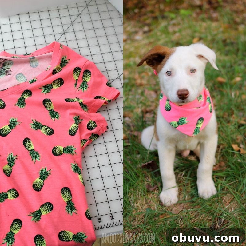 37 Creative DIY T-Shirt Ideas to Upgrade Your Wardrobe 33 DIY Bandanna For Dogs