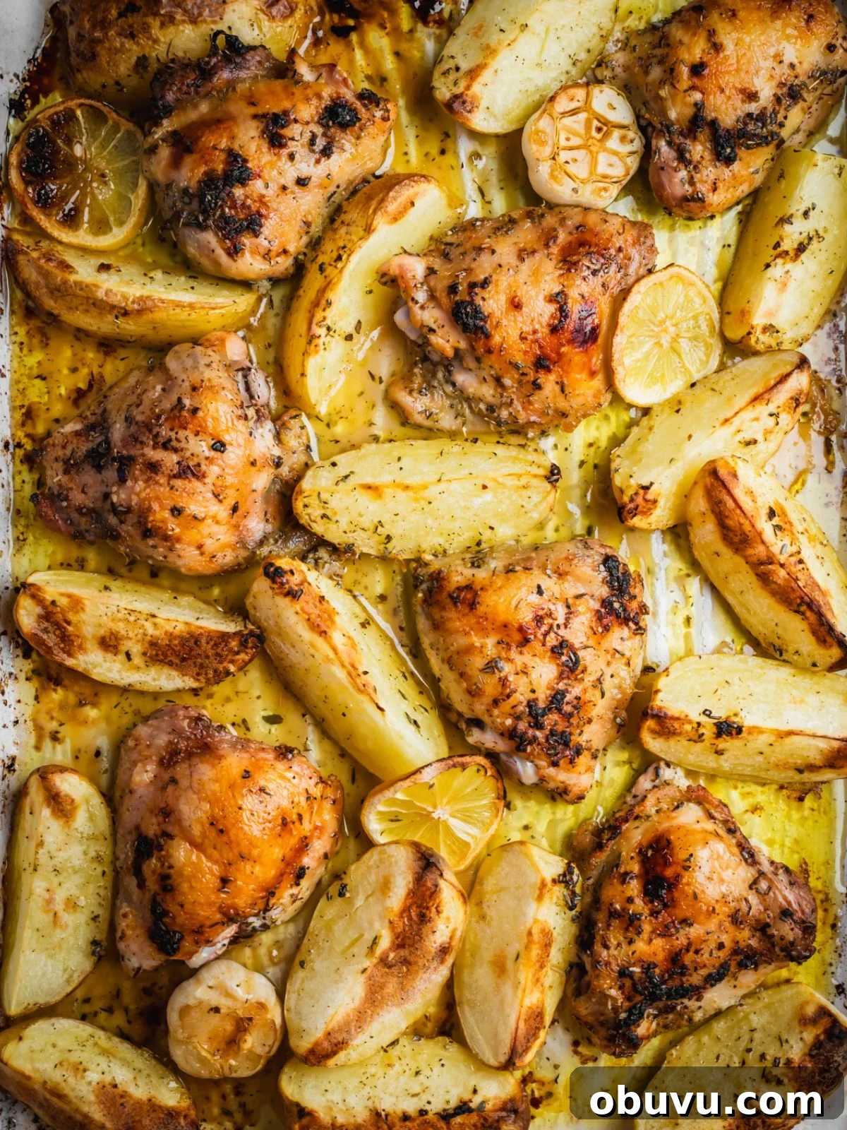 Greek lemon chicken and potatoes in a baking tray.