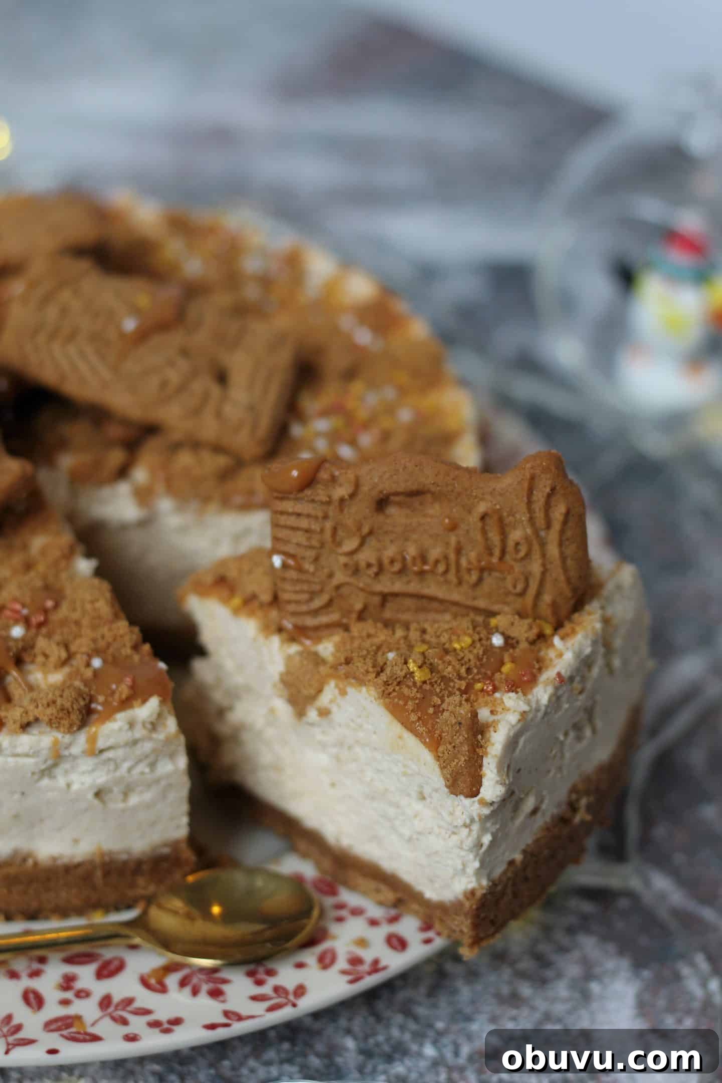 A no bake gluten free biscoff cheesecake.