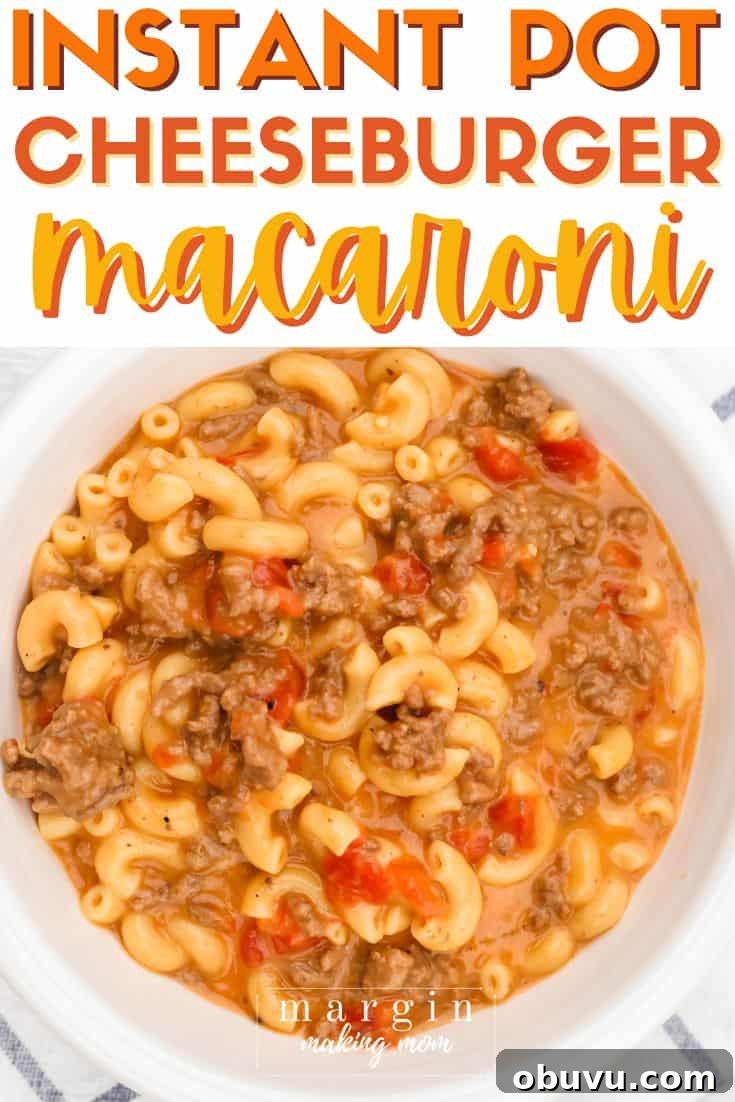 overhead view of a white bowl filled with Instant Pot cheeseburger macaroni