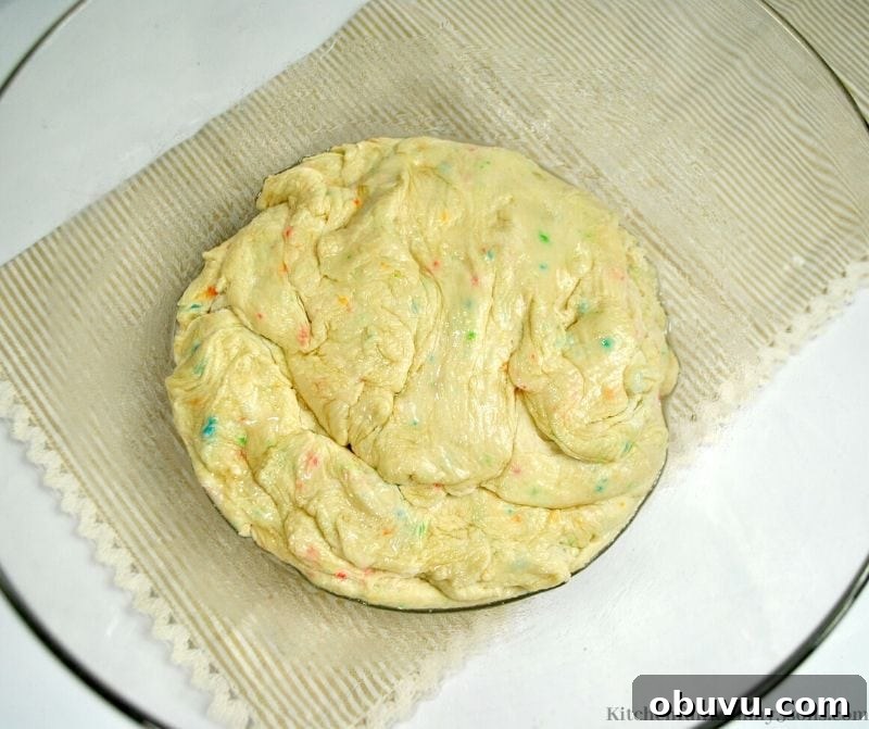 cinnamon roll dough