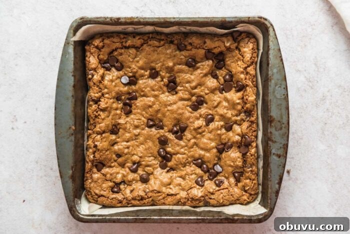 Overhead view of a pan of chocolate chip oatmeal cookie bars.